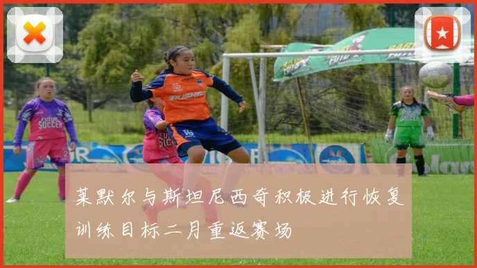 莱默尔与斯坦尼西奇积极进行恢复训练目标二月重返赛场