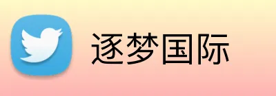 逐梦国际 Logo